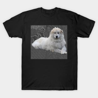 Pyrenees mountain dog in greybackground. T-Shirt